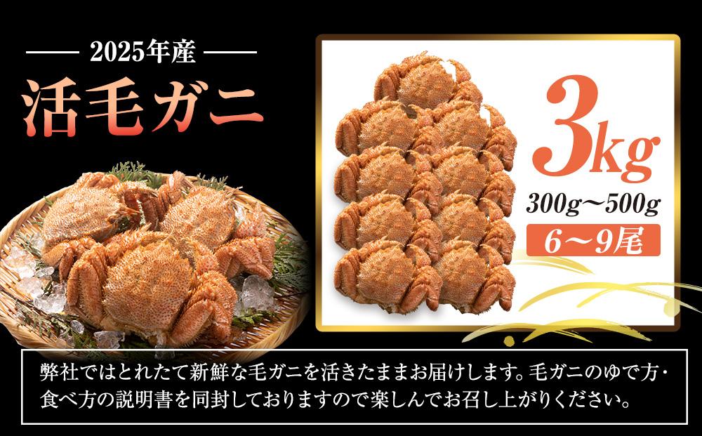 2025年産　活毛ガニ　３kg　300g～500g　６～９尾