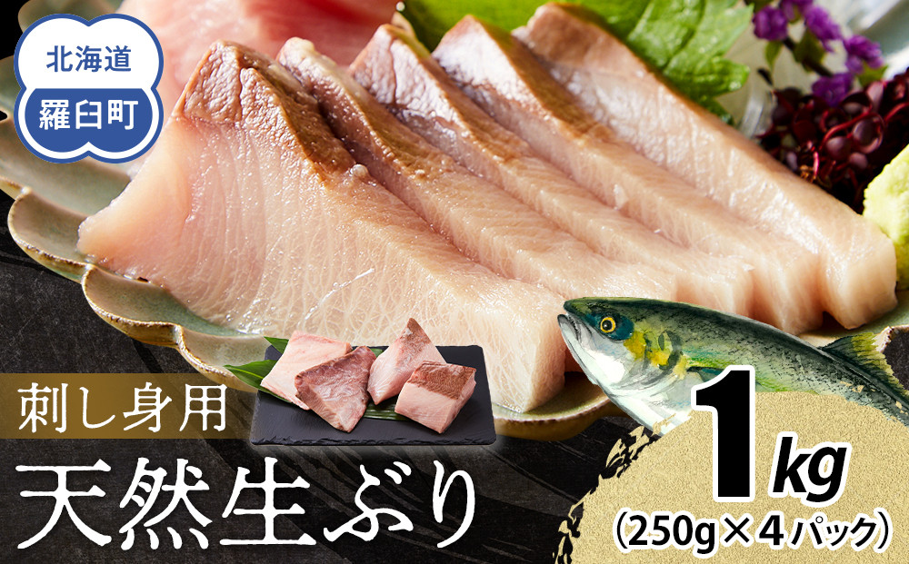 【2026年2月発送】北海道 知床羅臼産 天然ぶり刺身 1kg (250g×4パック) 魚 海産物 魚介 魚介類 ブリ 鰤 刺身 ご飯のお供 冷凍 生産者 支援 応援