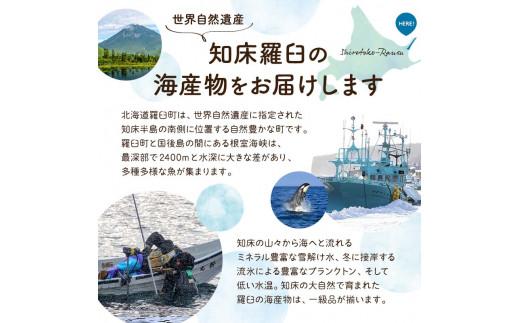 【2025年2月発送】知床羅臼産 海の味覚贅沢5種セット いくら ホタテ ほっけ イカ ブリ 干物 刺身 しょうゆ漬け 一夜干し 魚卵 海鮮 魚介 詰め合わせ 北海道 生産者 支援 応援