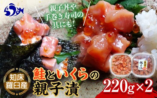 知床羅臼産 鮭といくらの親子漬220g×2 イクラ いくら丼 海鮮丼 魚卵 羅臼町 北海道 海産物 ご飯のお供 生産者 支援 応援