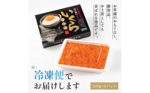 北海道 知床羅臼産 鮭（しゃけ）いくら醤油漬（1kg） 生産者 支援 応援