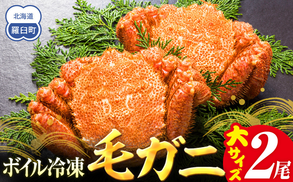 【先行予約/2026年4月発送開始】2026年産　ボイル冷凍毛ガニ　大２尾（600～650g）