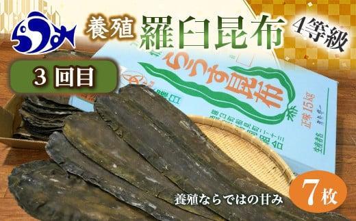 年3回！羅臼昆布の出汁比べ定期便（等級比較） 生産者 支援 応援