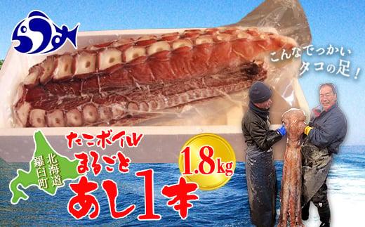 こんなでっかいタコみたことない(ボイル足1本) 北海道 海産物 魚介類 魚介 生産者 支援 応援