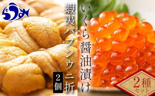 【先行/2026年1月より発送】知床羅臼町産折うに（１２０ｇ×２）と北海道産いくら醤油漬け（２５０g）セット 北海道産 知床羅臼産