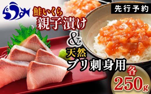 【2025年2月発送】親子漬け・ぶり刺身セット500g（各250g×1）小分け いくら イクラ 秋鮭 さけ サケ 醤油漬け しょうゆ漬け ブリ 鰤 北海道 国産 羅臼 海鮮 魚介 ご飯のお供 生産者 支援 応援