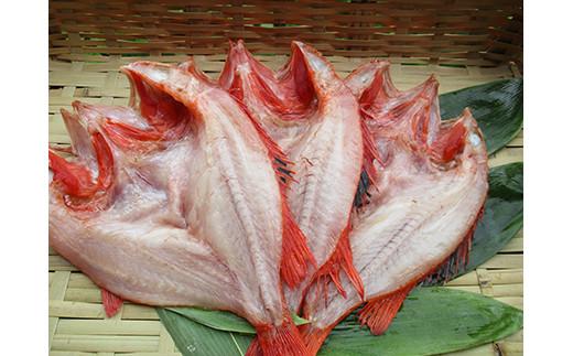 繧ュ繝ウ繧ュ(繧√s繧)縺ョ荳螟懷ケイ縺 逕溽肇閠 謾ッ謠エ 蠢懈抄