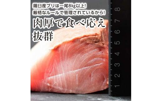 北海道 天然ぶり刺身3kg（250g ×12パック） 魚 海産物 魚介 魚介類 知床 しれとこ 羅臼 らうす 北海道 世界自然遺産 送料無料 人気 ブランド 天然 ブリ 鰤 刺身 海産 生産者 支援 応援