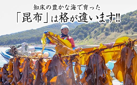 【200枚限定】養殖昆布3年熟成蔵出し羅臼昆布1枚入り≪化粧箱入≫北海道 知床 羅臼産 生産者 支援 応援