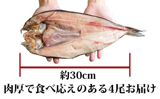 知床羅臼産 特大開きほっけ(4枚) 生産者 支援 応援