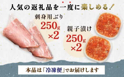 【2025年2月発送】親子漬け・ぶり刺身セット1kg（各250g×2）小分け いくら イクラ 秋鮭 さけ サケ 醤油漬け しょうゆ漬け ブリ 鰤 北海道 国産 羅臼 海鮮 魚介 ご飯のお供 生産者 支援 応援