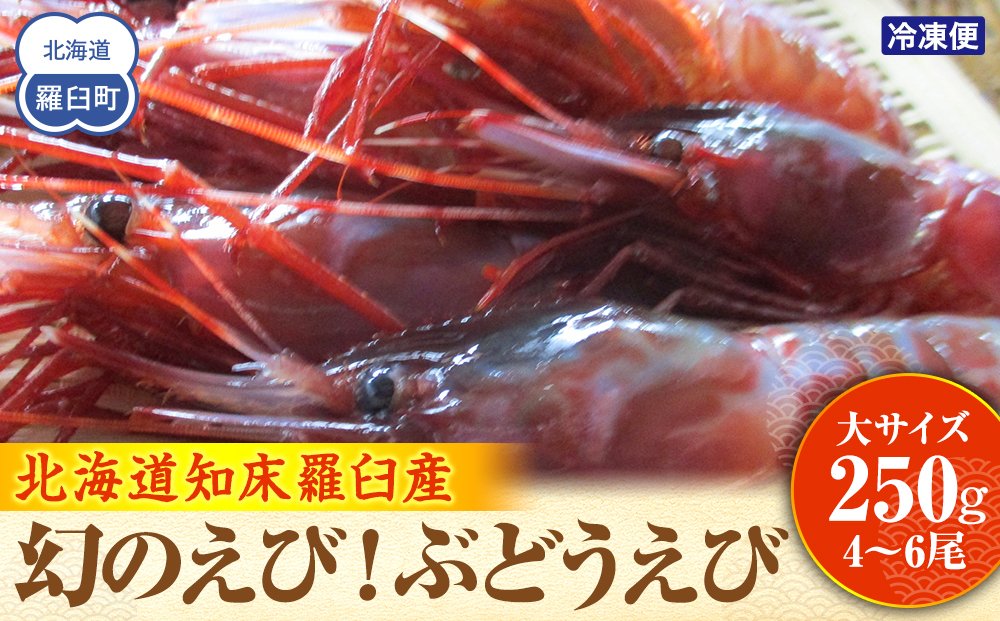 幻のぶどうえび（大・250g /4～6尾）エビ 海老 ブドウエビ 羅臼町 北海道 魚介類 魚介 海産物 冷凍 生産者 支援 応援