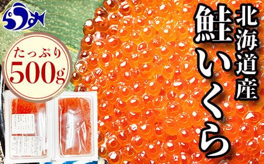 【8月発送】北海道産 いくら（鮭卵）醤油漬け 大容量500g(250g×2パック) 国産 小分けパック イクラ 海鮮丼 ギフト 贈り物 魚介類 魚介 海産物 鮭 シャケ しゃけ 生産者 支援 応援