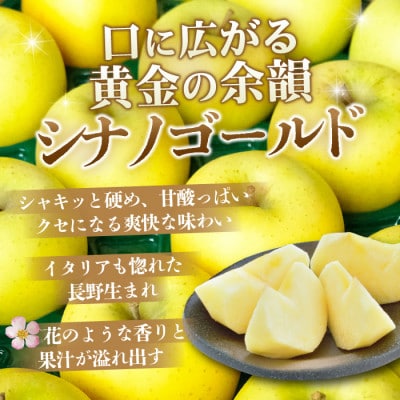 【4月より順次発送】平均糖度13度以上! シナノゴールド 約5kg 訳あり  クール便 青森りんご【配送不可地域：離島・沖縄県】【1722269】