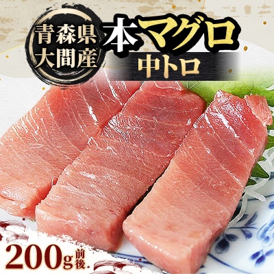 大間産本マグロ 中トロ 200g前後(約2人前)【配送不可地域：離島】【1657763】