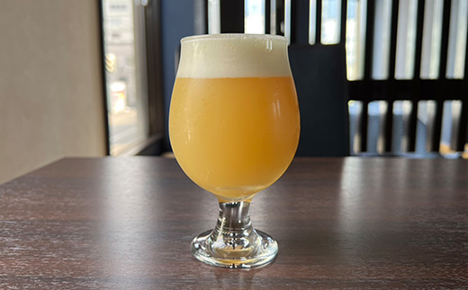 【世界の品評会で最優秀賞受賞の醸造所からお届け】クラフトビール　限定6種類　6本セット【配送不可地域：離島】【1653333】