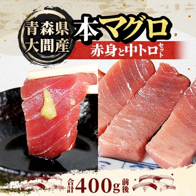 大間産本マグロ 赤身と中トロセット 各200g前後(合計400g前後)【配送不可地域：離島】【1657765】