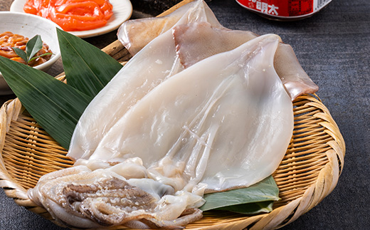 【塩辛 220g×4個・明太子和え 150g×2個・一夜干し 2袋】いか尽くし 3種セット【配送不可地域：離島】【1668492】