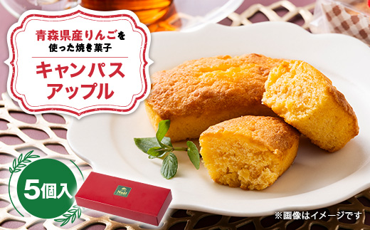 キャンパスアップル　5個入り【1678685】
