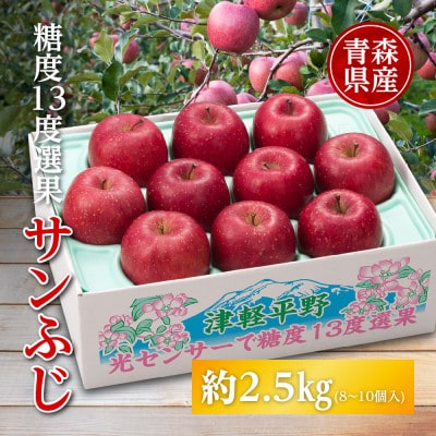 りんご/青森県産　糖度13度選果 サンふじ 約2.5kg【配送不可地域：離島】【1655310】