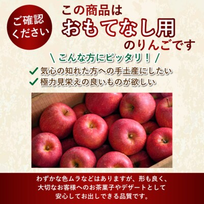 【26年10月から順次発送】平均糖度12度以上! トキ 約10kg おもてなし用 青森県産 りんご【配送不可地域：離島・沖縄県】【1734964】