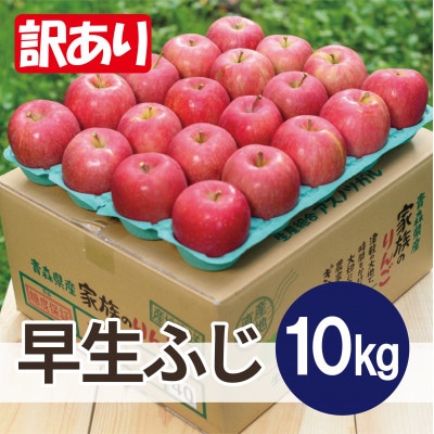 【26年10月から順次発送】平均糖度12度以上! 早生ふじ 約10kg 訳あり 青森県産 りんご【配送不可地域：離島・沖縄県】【1734951】