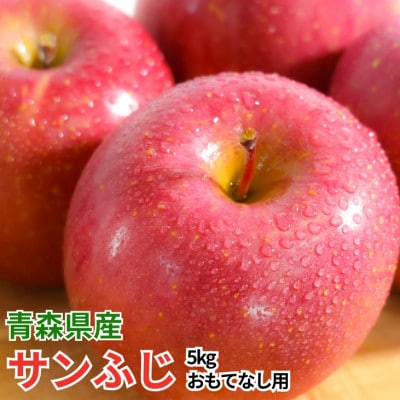 【26年11月より順次発送】平均糖度13度以上! サンふじ 約5kg おもてなし用【配送不可地域：離島・沖縄県】【1692343】