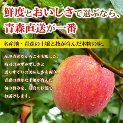 【26年10月から順次発送】平均糖度12度以上! トキ 約5kg 訳あり 青森県産 りんご【配送不可地域：離島・沖縄県】【1734958】
