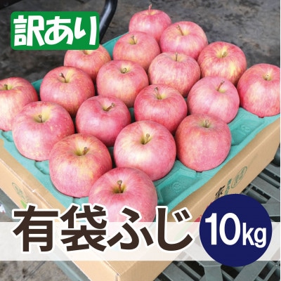青森県産りんご 平均糖度13度以上! 有袋ふじ 約10kg 訳あり クール便【配送不可地域：離島・沖縄県】【1707178】