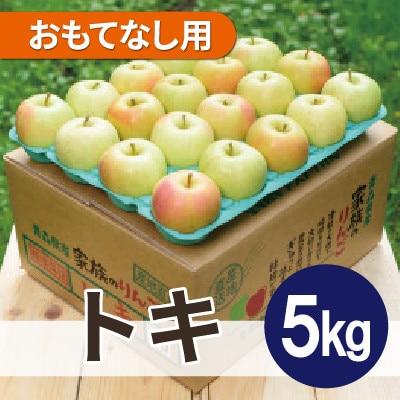 【26年10月から順次発送】平均糖度12度以上! トキ 約5kg おもてなし用 青森県産 りんご【配送不可地域：離島・沖縄県】【1734960】