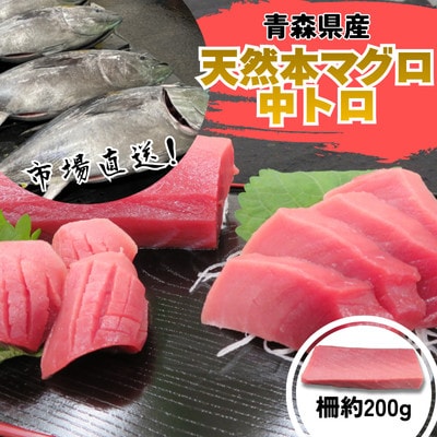 【市場直送!】青森産天然本マグロ 中トロ まぐろ (1柵/約200g)【配送不可地域：離島】【1696593】