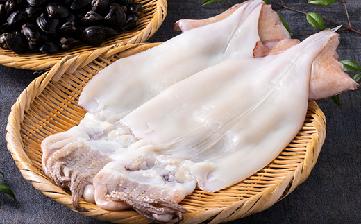 鰺ヶ沢の生干しイカ(210g〜269g×2枚)と、十三湖産しじみ(250g×4袋)セット【配送不可地域：離島】【1650441】