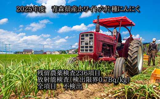 青森県産ホワイト六片種にんにく 1kg 中・小玉 (贈答用)【1656878】