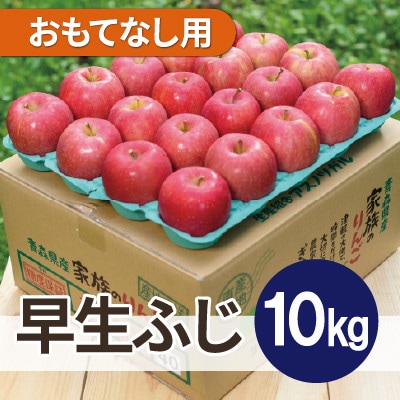 【26年10月から順次発送】平均糖度12度以上! 早生ふじ 約10kg おもてなし用 青森 りんご【配送不可地域：離島・沖縄県】【1734952】