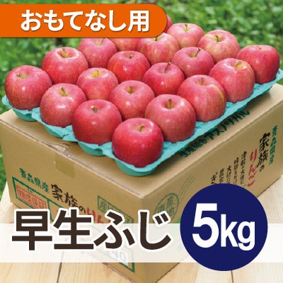 【26年10月から順次発送】平均糖度12度以上! 早生ふじ 約5kg おもてなし用 青森県産 りんご【配送不可地域：離島・沖縄県】【1734950】