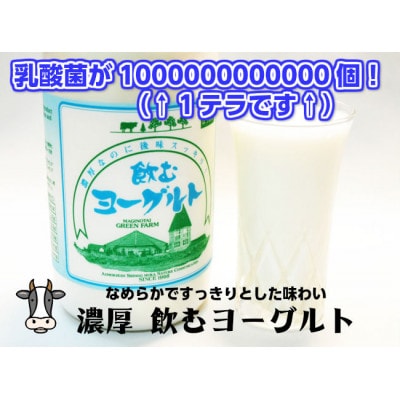 飲むヨーグルト 900ml×3本セット 乳酸菌が1テラ個の濃厚のむヨーグルト【配送不可地域：離島】【1691321】