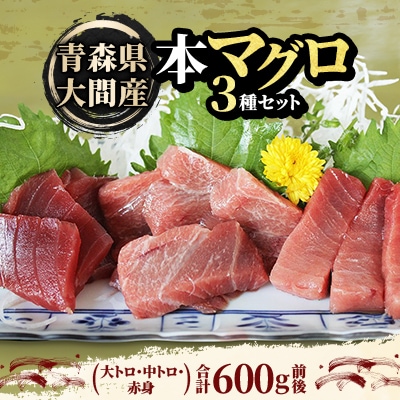 大間産本マグロ 3種セット(大トロ・中トロ・赤身) 合計600g前後【配送不可地域：離島】【1657767】
