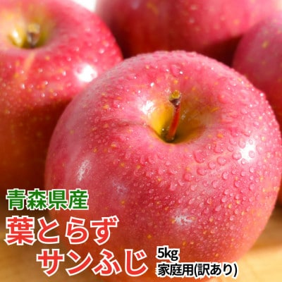 【26年11月から順次発送!】青森県産 りんご 葉とらずサンふじ 訳あり家庭用 約5kg【配送不可地域：沖縄県】【1735523】