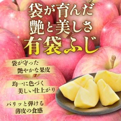 ãå
è¡åä»ã鿣®çç£ããã å¹³åç³åºŠ13床以äž! æè¢ãµã çŽ10kg èš³ãã ã¯ãŒã«äŸ¿ãé
éäžå¯å°åïŒé¢å³¶ã»æ²çžçãã1707178ã