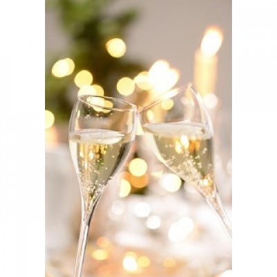 ã¿ã ã©ã·ãŒãã« SEC&BRUTã®ããã»ããã1668705ã