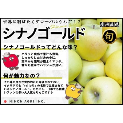 【2026年2月〜3月発送予定】平均糖度13度以上! シナノゴールド 約5kg 訳あり【配送不可地域：離島・沖縄県】【1694687】