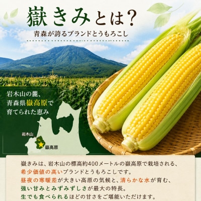 とうもろこし 朝採り 嶽きみ(だけきみ) 10本 L〜2Lサイズ 冷蔵【配送不可地域：離島・沖縄県・九州】【1757166】