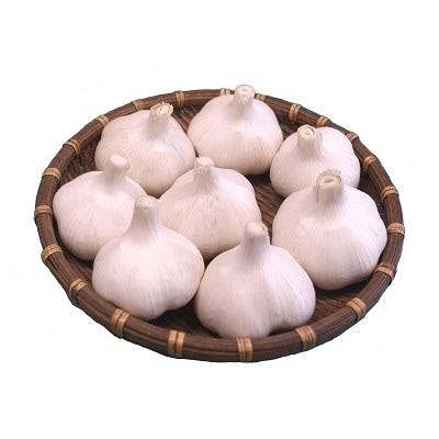 たっこにんにく(福地ホワイト)【1660834】