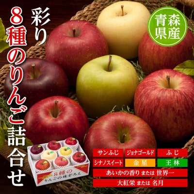 りんご/青森県産　彩り8種のりんご詰合せ【配送不可地域：離島】【1655324】