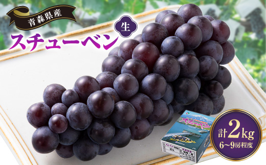 青森県産　スチューベン(生)2kg【1668501】