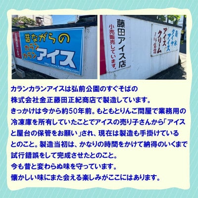 よくばりアイスセット【ケースアイス×5種類・コーン×50個・盛り付け用ヘラ付き】【配送不可地域：離島】【1657753】