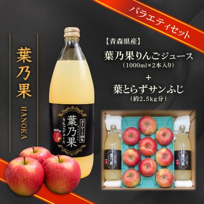 葉とらずりんごジュース2本&家庭用訳あり 青森県産りんご約2.5kg(品種おまかせ) アソートセット【配送不可地域：離島・沖縄県】【1719619】