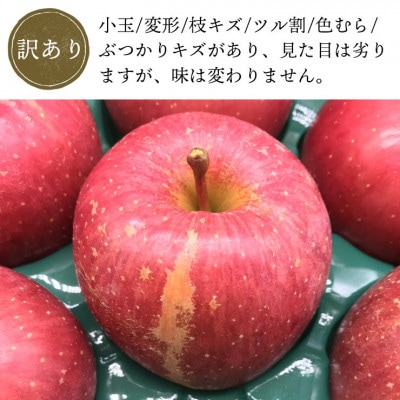 青森県産「サンふじ」家庭用　訳あり 光センサー選果済　約5kg【1656888】