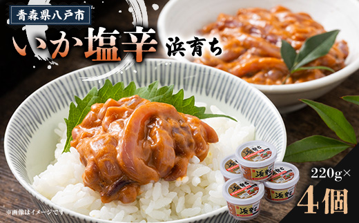 いか塩辛　浜育ち(220g×4)【配送不可地域：離島】【1668490】