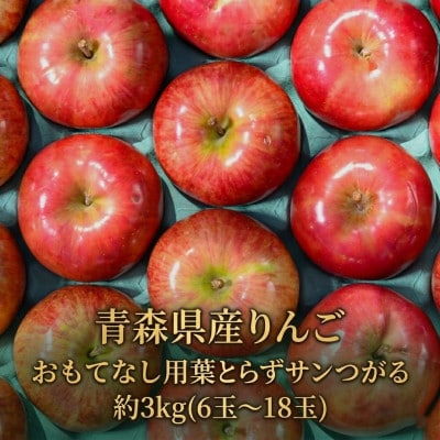 【2026年9月から発送予定】平均糖度12度以上! 葉とらずサンつがる 約3kg おもてなし用【配送不可地域：離島・沖縄県】【1734910】